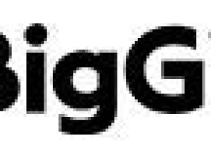 Deadline 2024/06/22 Big Give - UK Women and Girls Match Fund