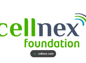 Deadline 2026/08/31 Cellnex Community Fund