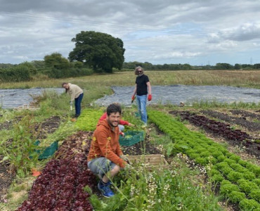 Member of the Month: Hampshire Market Garden