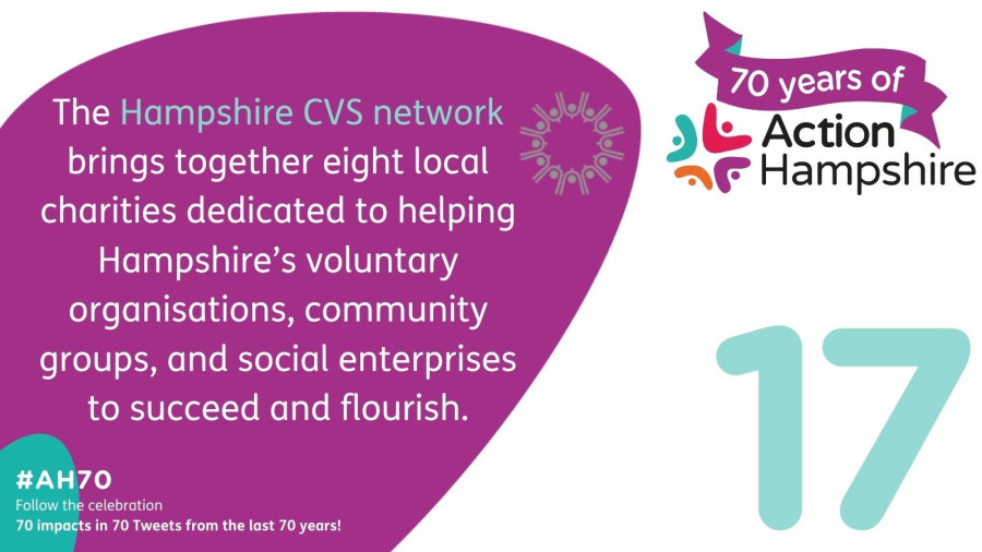 Action Hampshire infographic 17 - Hampshire CVS network