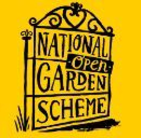 NGS-logo