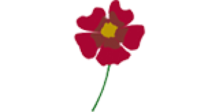 JamesTudorFoundation