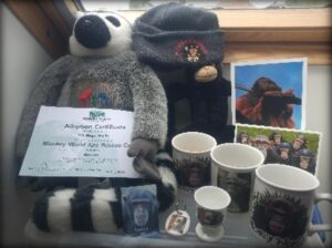 an assortment of mugs, stuffed toys, clothing and pins from Monkey World Ape Rescue